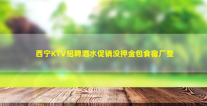 西宁KTV招聘酒水促销没押金包食宿厂整
